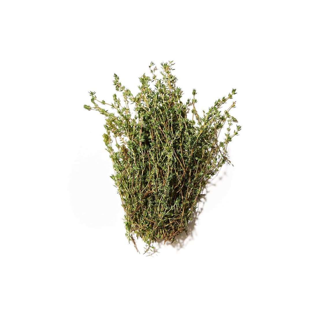 Garðablóðberg / timían