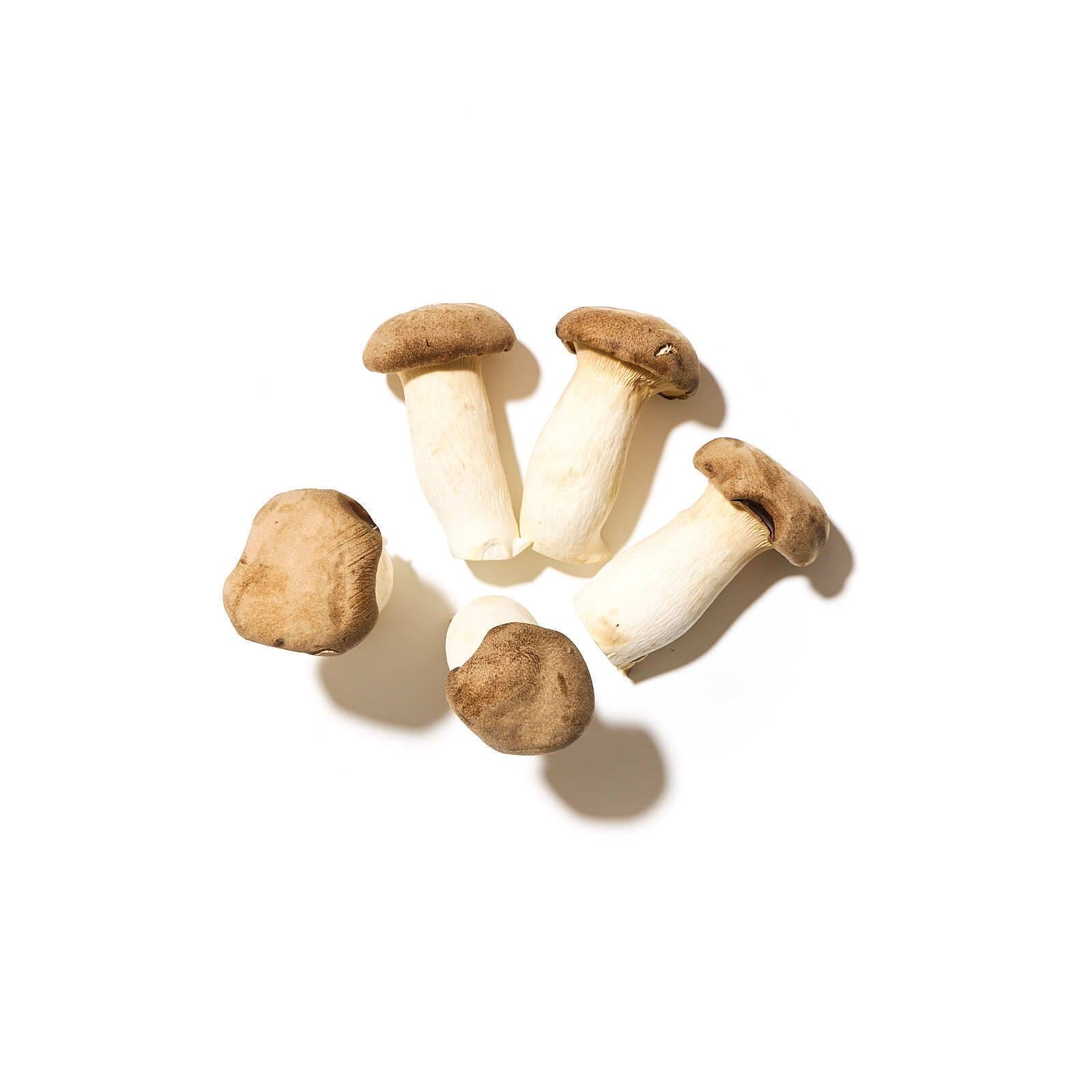 Kóngaostrusveppir / eryngi king oyster