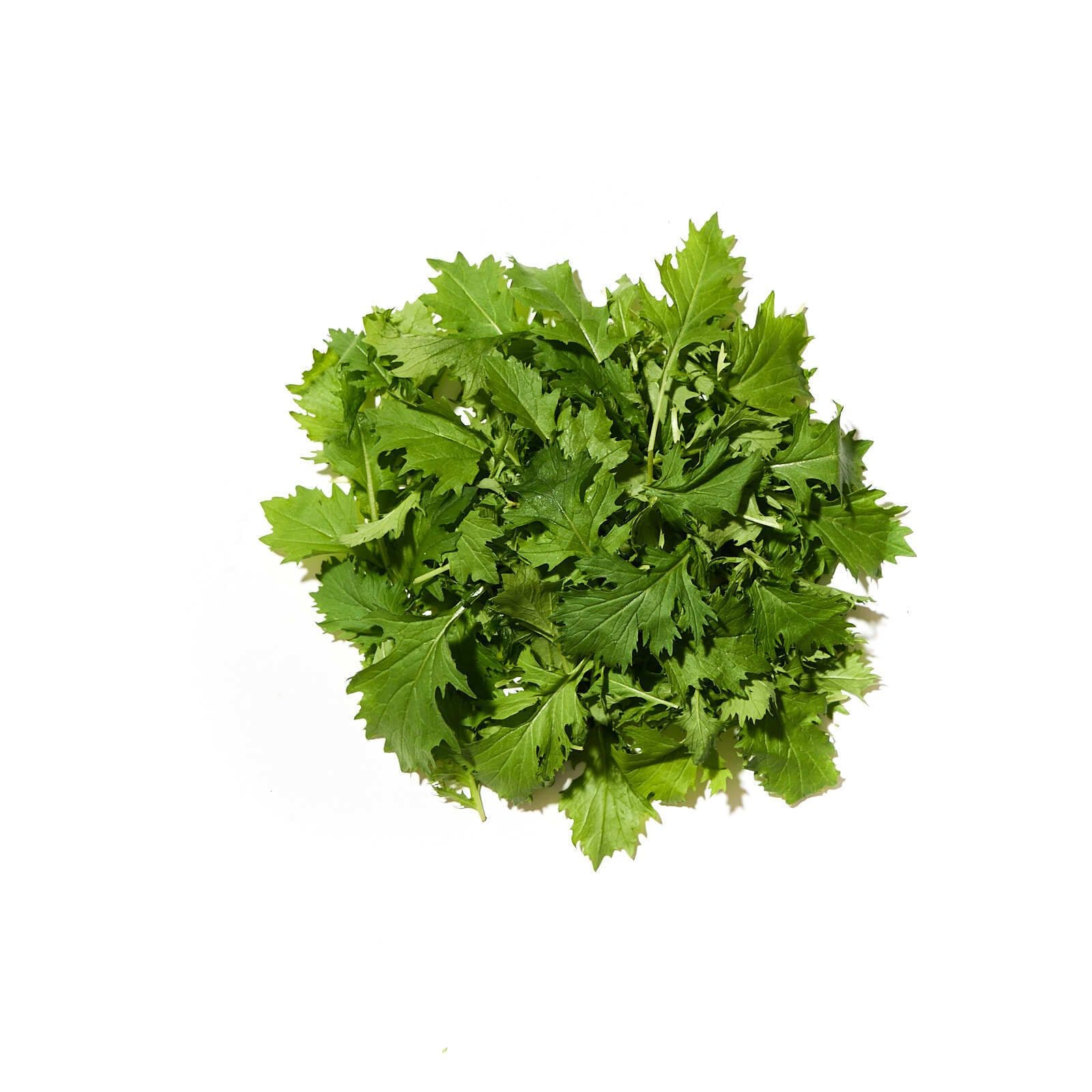 Mizuna grænt pakkað