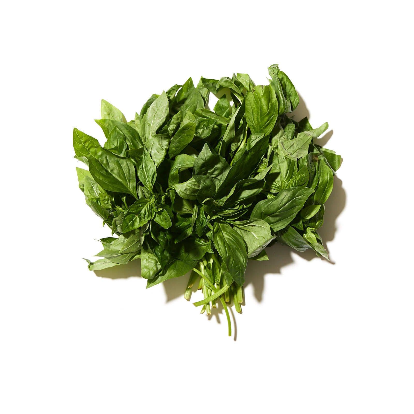 Basilika pesto exotic