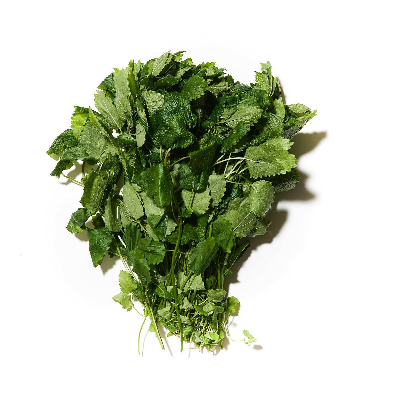 Sítrónumelissa hjartafró