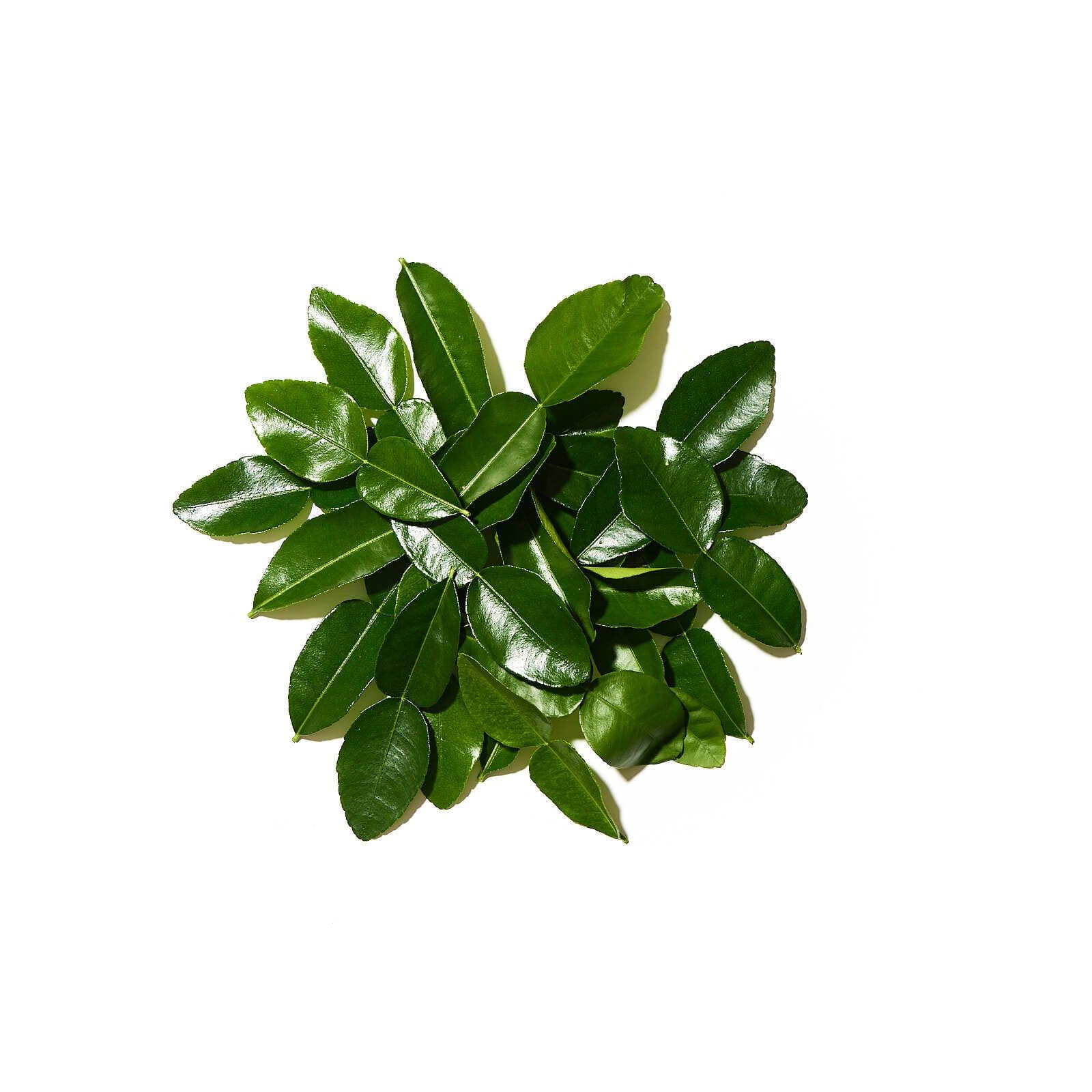 Kaffir limelauf pökkuð