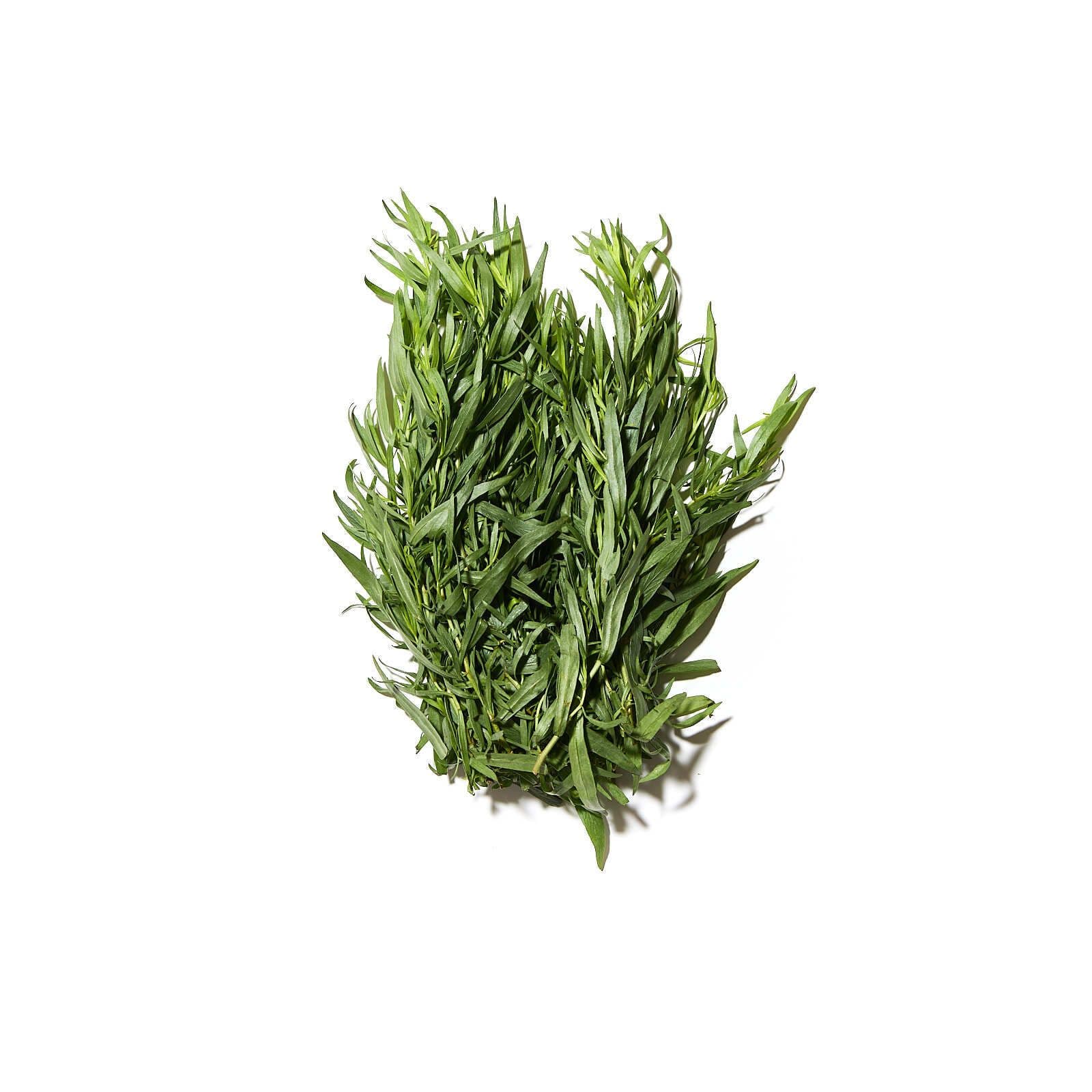 Fáfnisgras / estragon