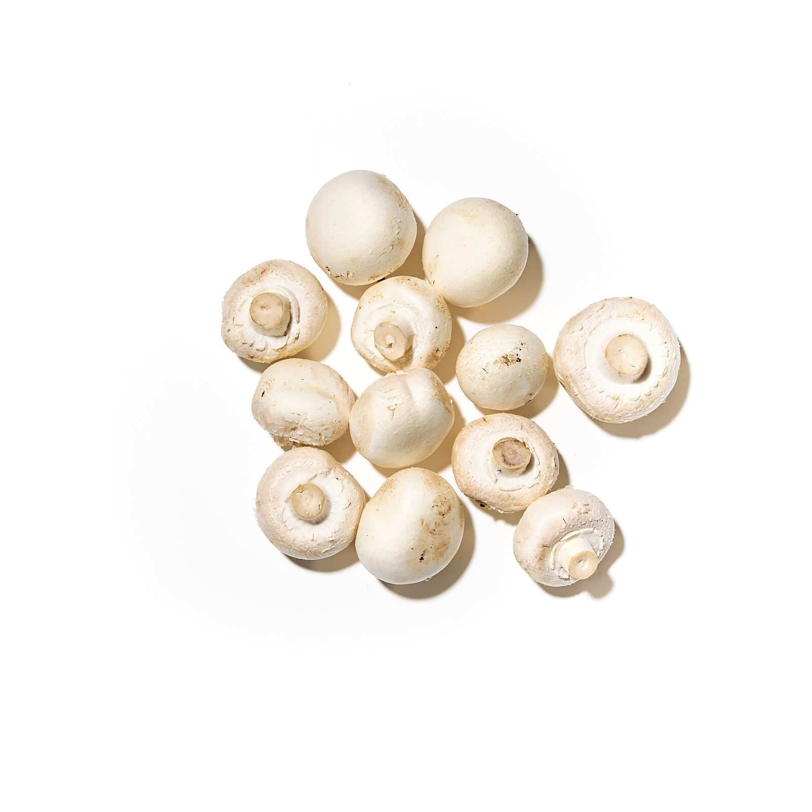 Flúðasveppir 1. flokkur í lausu