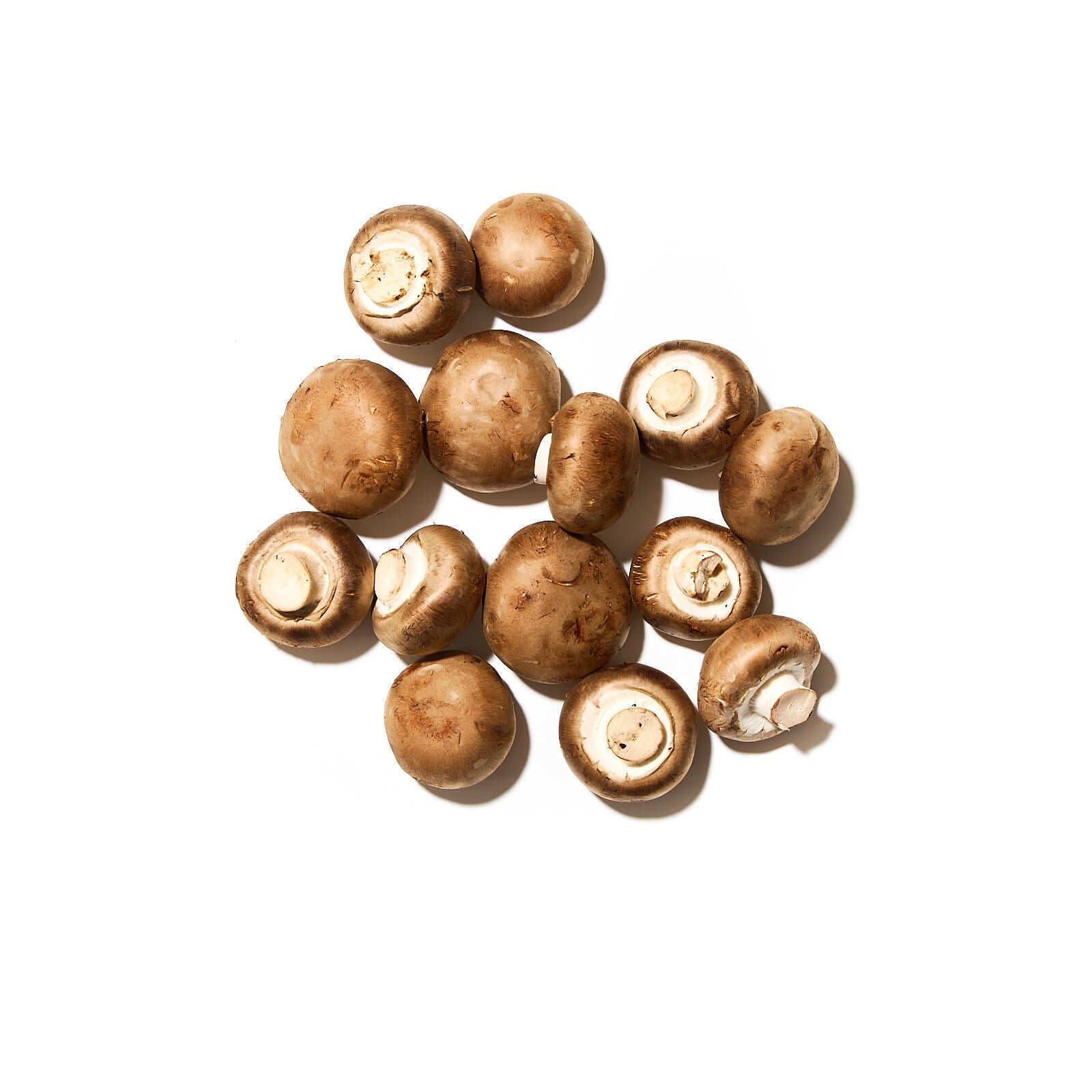 Kastaníusveppir í lausu