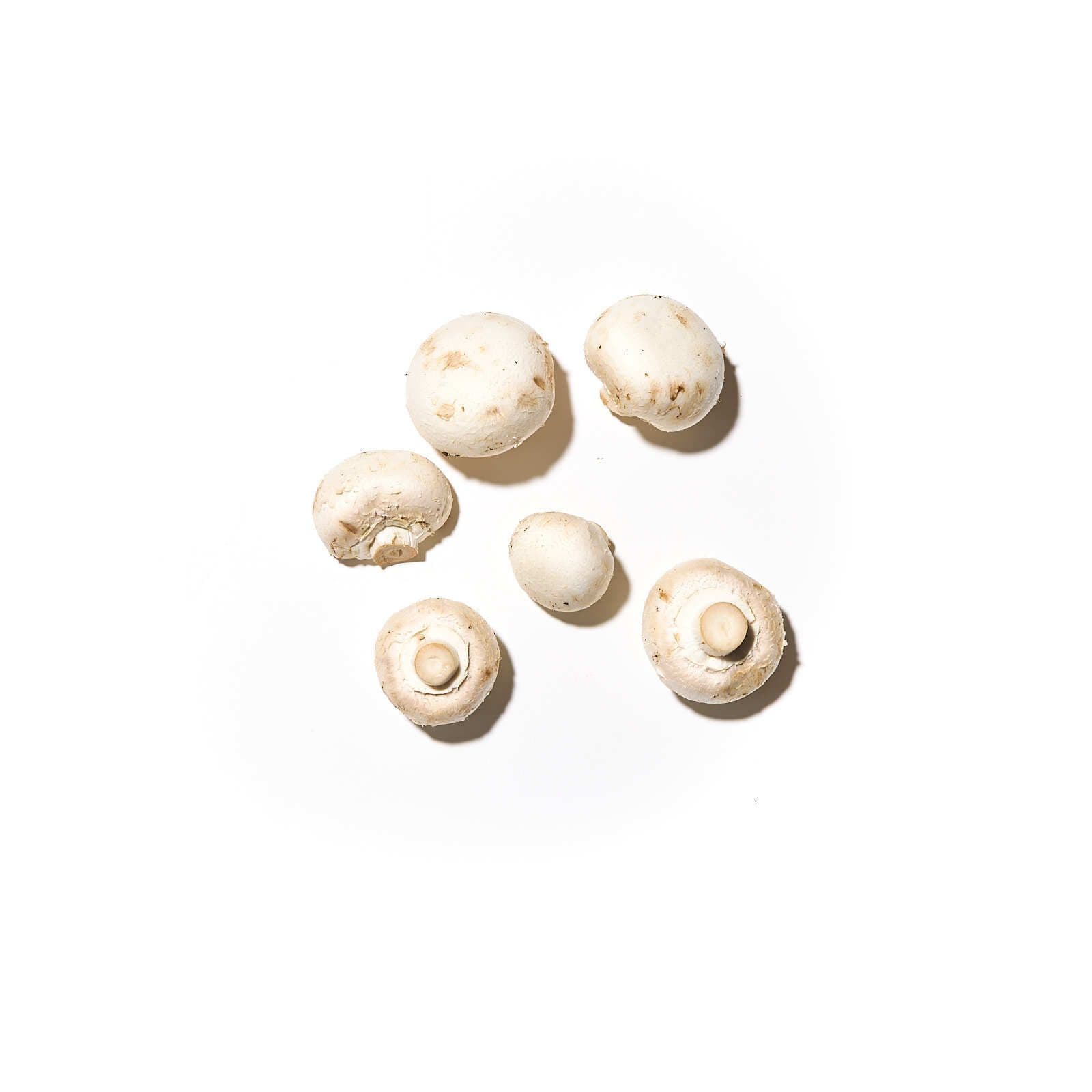 Flúðasveppir í pakka