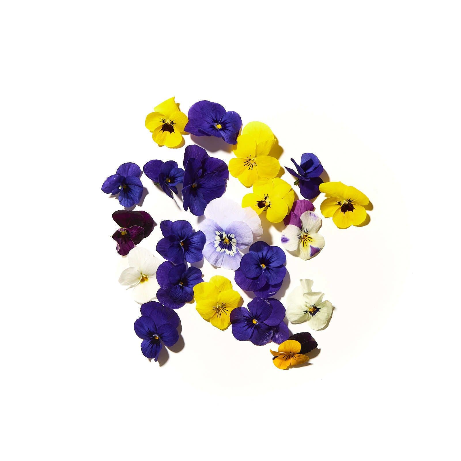 Ætiblóm pansy pökkuð