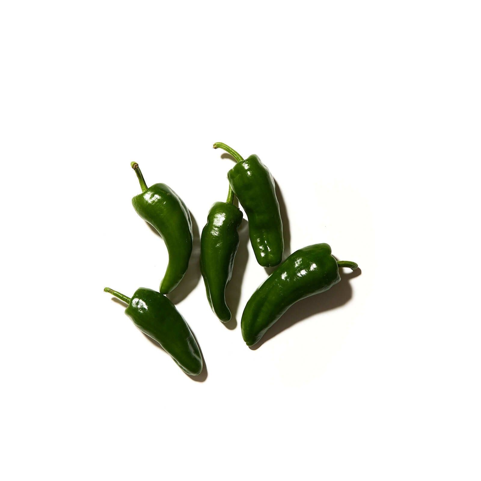 Chili padron pipar